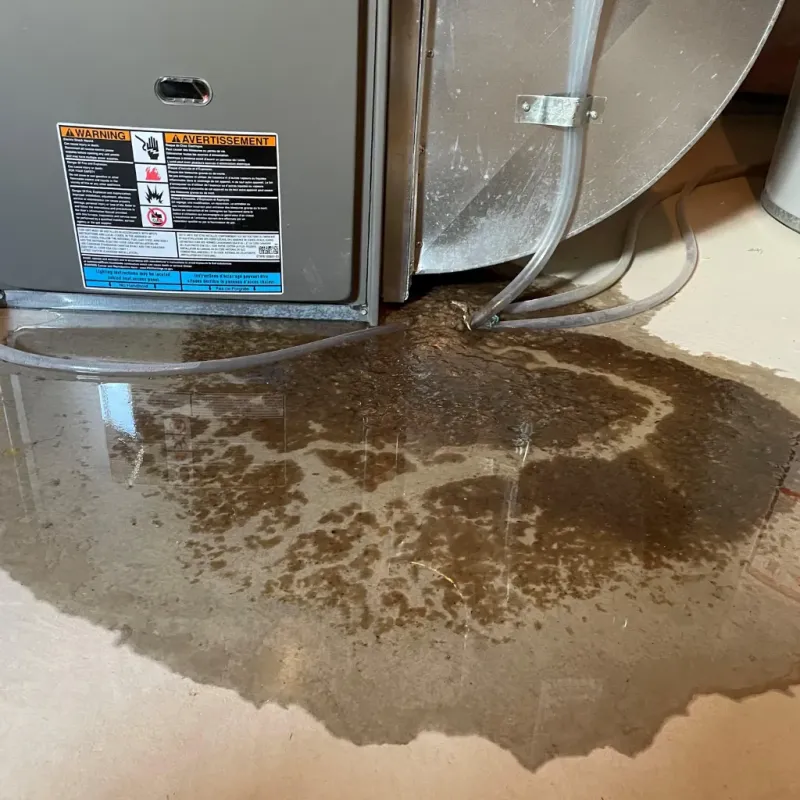 Appliance Leak Cleanup in Washington, VT